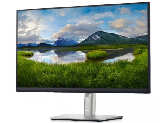 Picture of Dell P2422H Professional IPS monitor 23.8"